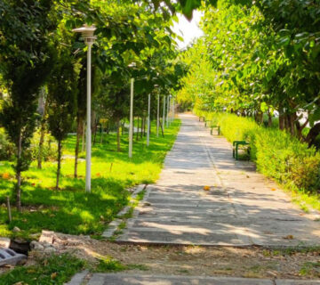 نصب داربست در محله بهبودی