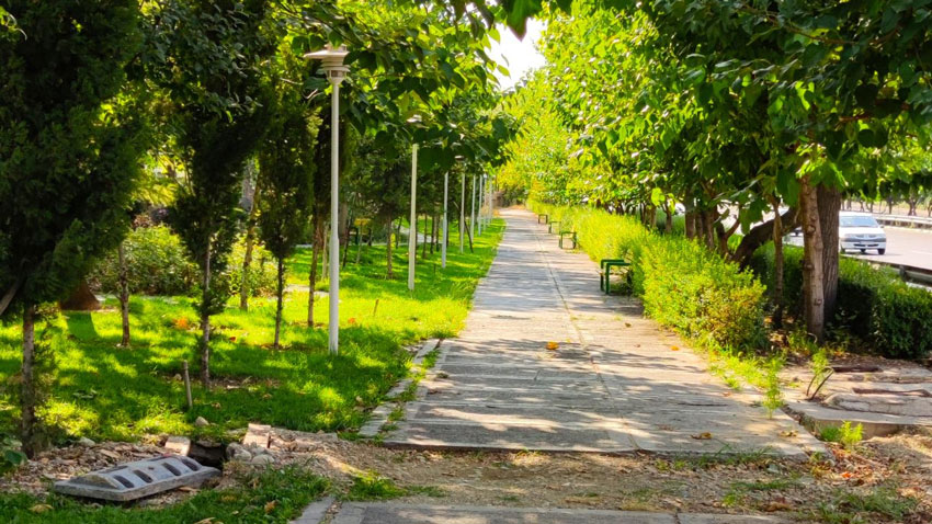 نصب داربست در محله بهبودی